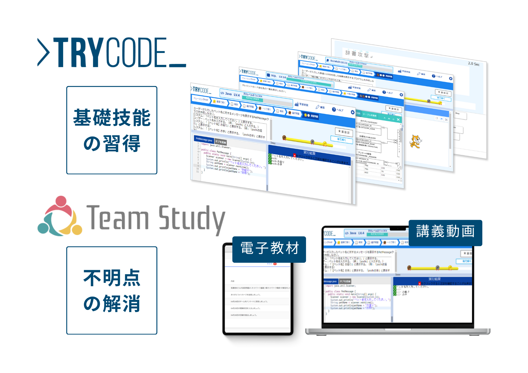 LMS「TRYCODE」「TeamStudy」で効果的に習得できることを表す図